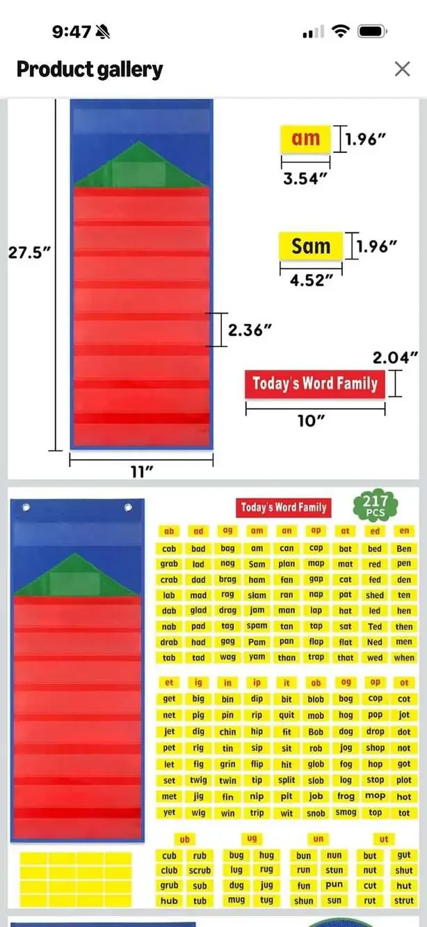 Word Family Pocket Chart™,